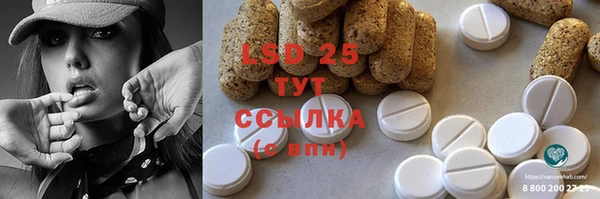 ПСИЛОЦИБИНОВЫЕ ГРИБЫ Протвино