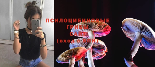 индика Приозерск