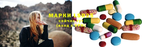 ПСИЛОЦИБИНОВЫЕ ГРИБЫ Протвино