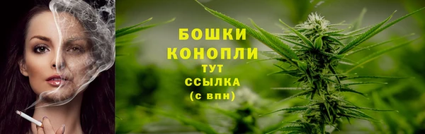 ПСИЛОЦИБИНОВЫЕ ГРИБЫ Протвино