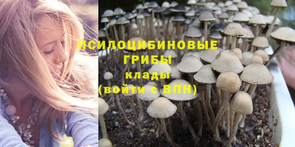индика Приозерск