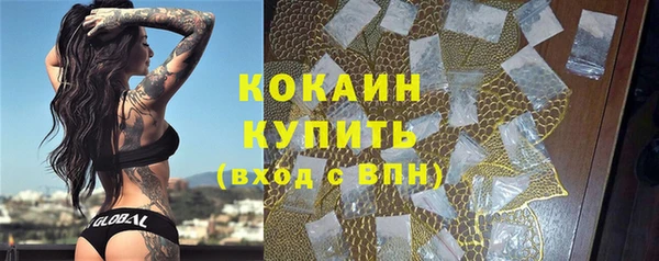 индика Приозерск