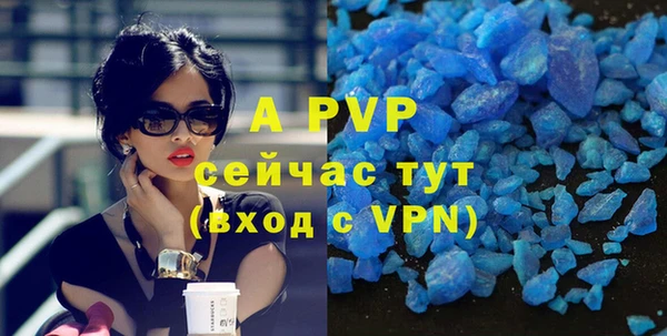 индика Приозерск