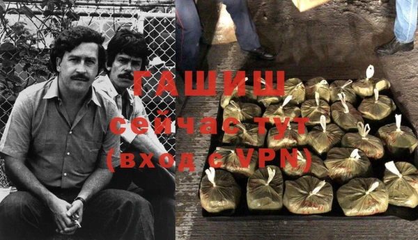 индика Приозерск