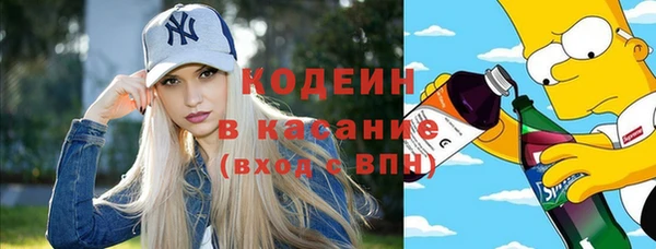 индика Приозерск