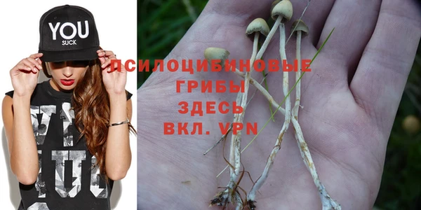 ПСИЛОЦИБИНОВЫЕ ГРИБЫ Протвино