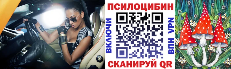 Купить где  Калининец  Галлюциногенные грибы ЛСД 