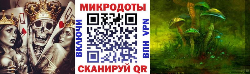 Псилоцибиновые грибы мицелий Калининец